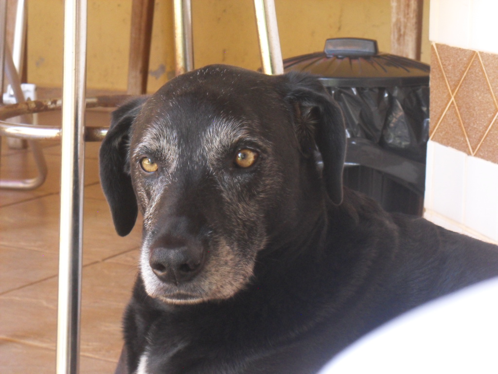 Tuti